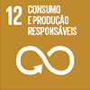 12 - Consumo e Produção Responsáveis