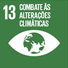 13 - Combate às Alterações Climáticas