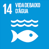 14 - Vida Debaixo D'Água
