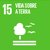 15 - Vida sobre a Terra