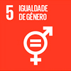 5 - Igualdade de Gênero